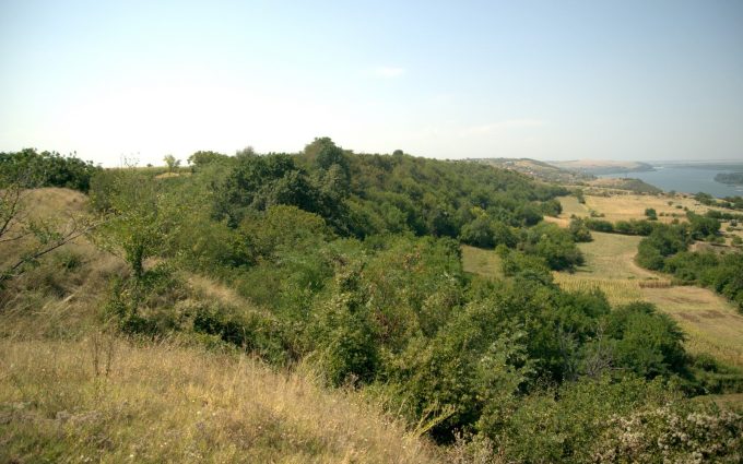 Zona protejată Plavala