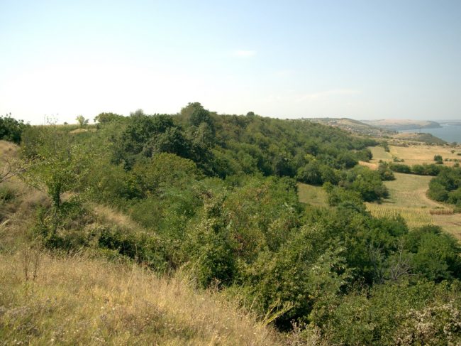 Zona protejată Plavala