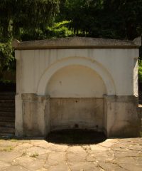 Elia Fountain