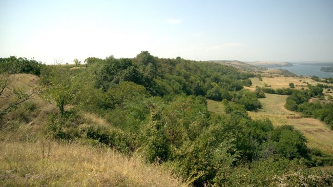 Protected Area “Plavala”