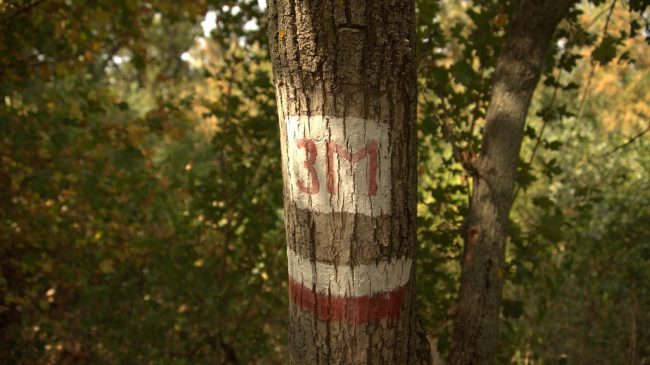 Protected Area “Eliata”