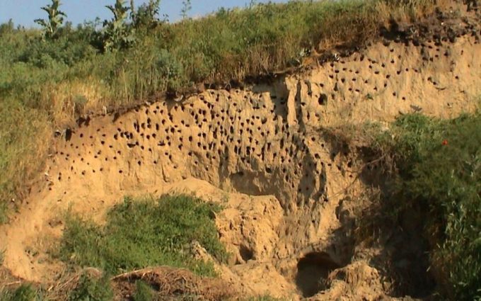 Parcul natural Persina