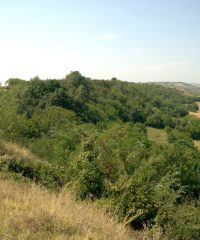 Protected Area “Plavala”