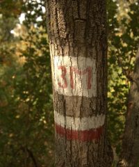 Protected Area “Eliata”