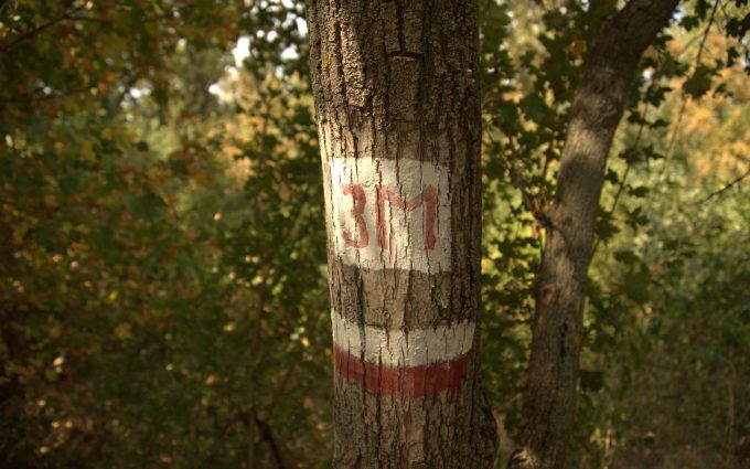 Protected Area “Eliata”